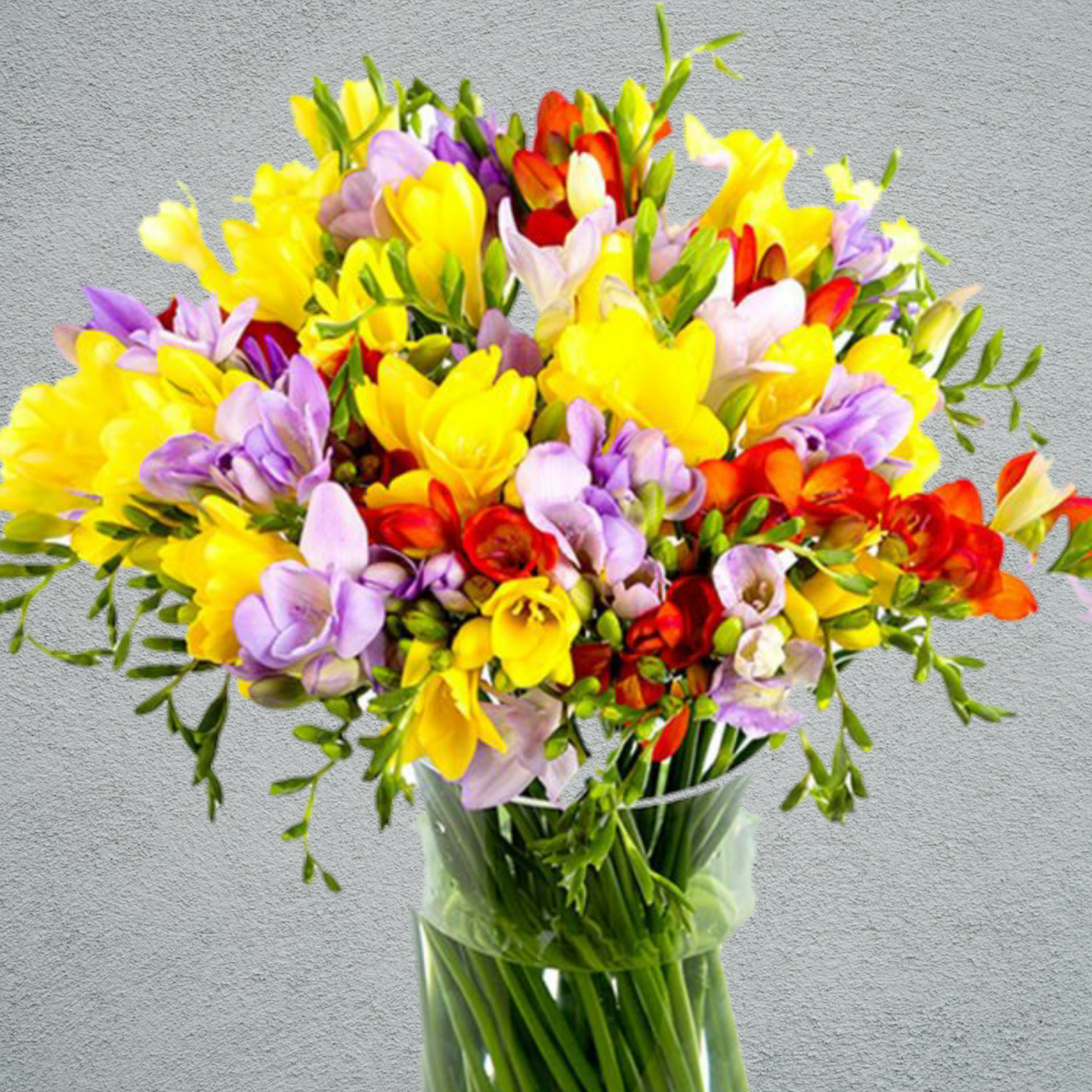 Freesia Mix (40 Stems) (50cm)