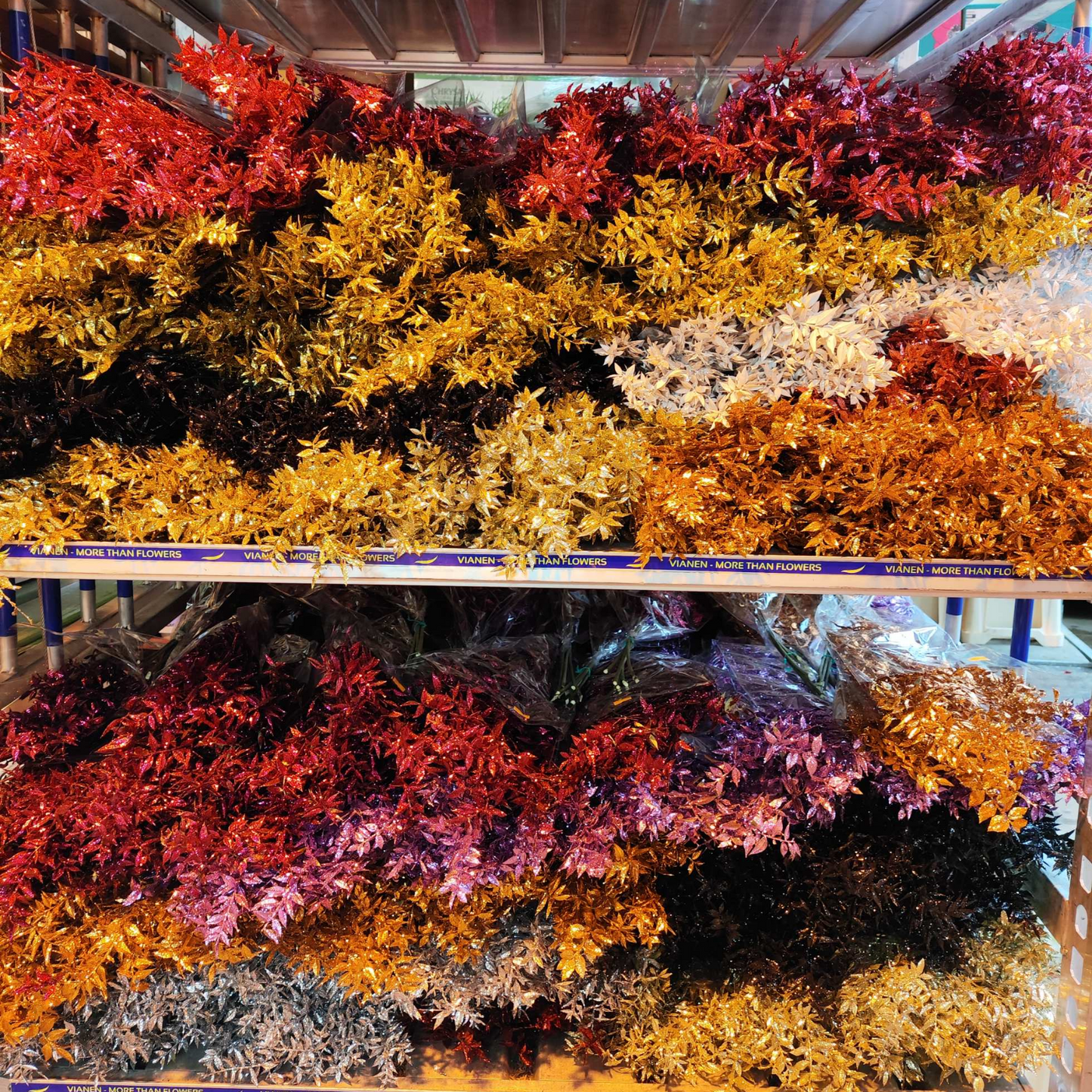 Dried Ruscus Dyed Glittered (5 Stems, 70cm) Multiple Colours