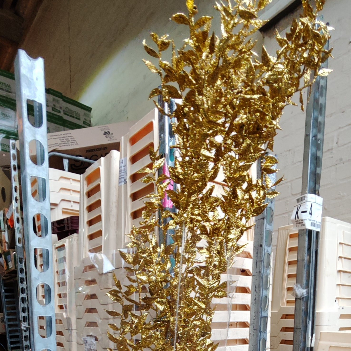 Dried Ruscus Dyed Glittered (5 Stems, 70cm) Multiple Colours