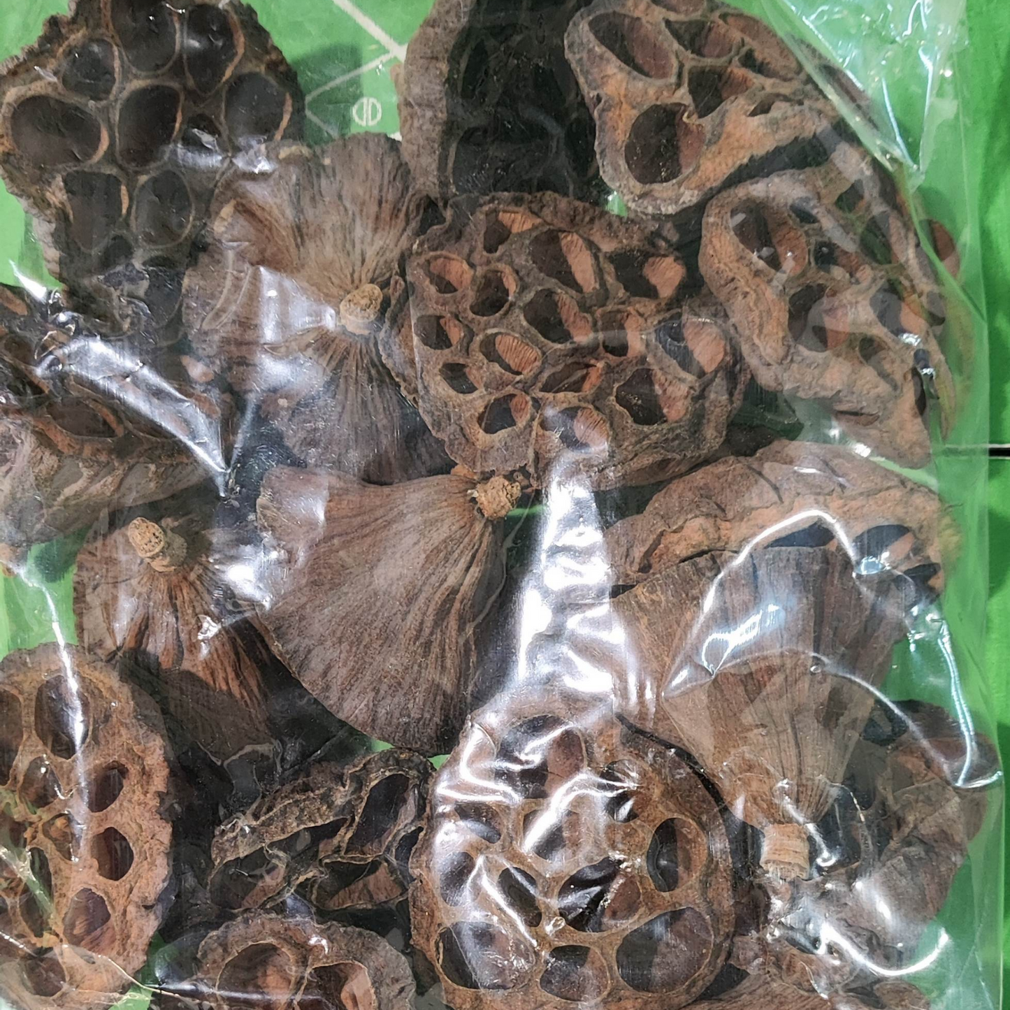 Dried Lotus Heads