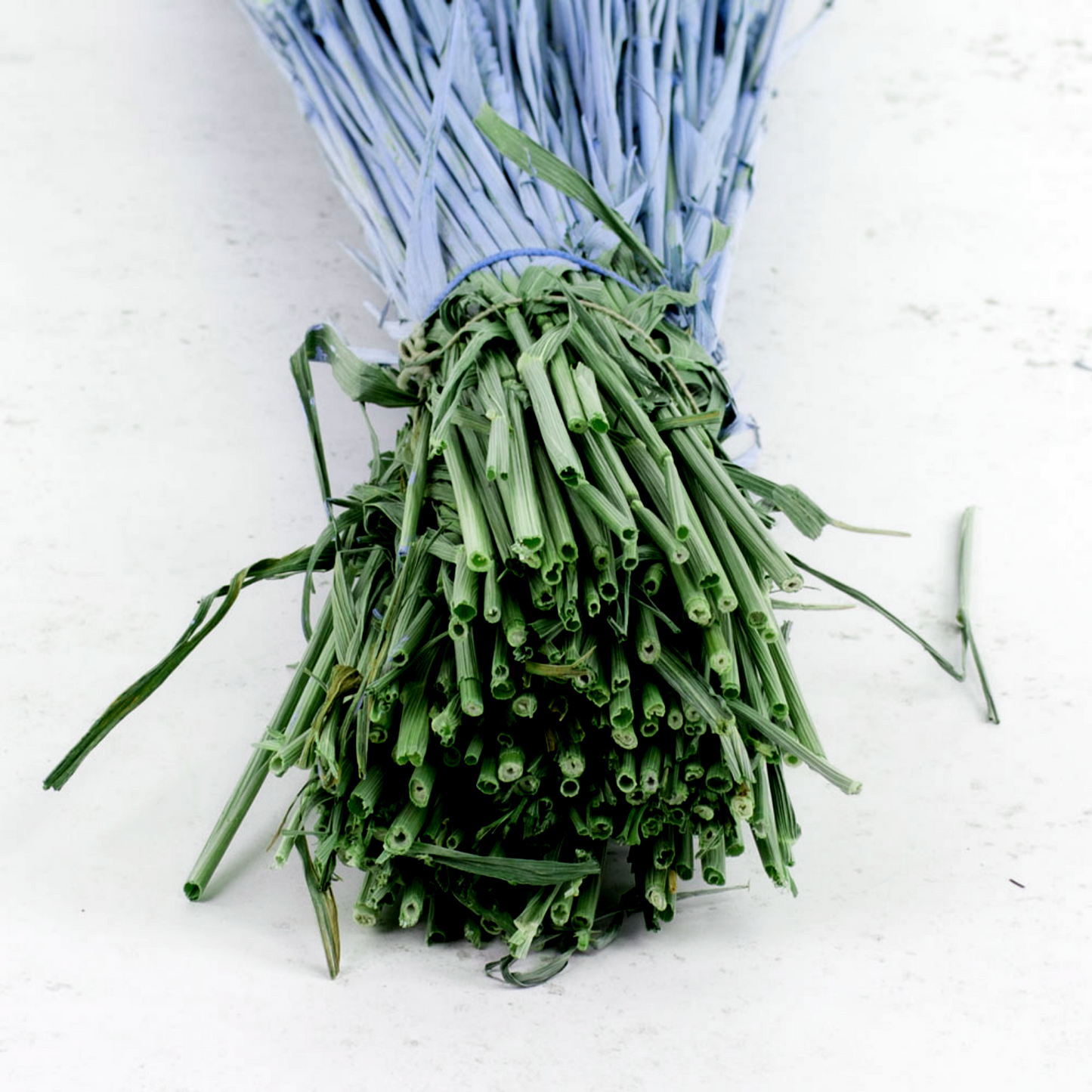 Dried Wheat Royal Blue (100+ Stems)
