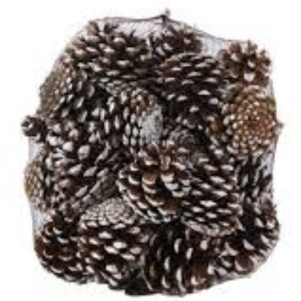 Frosted Pinecones (1KG)