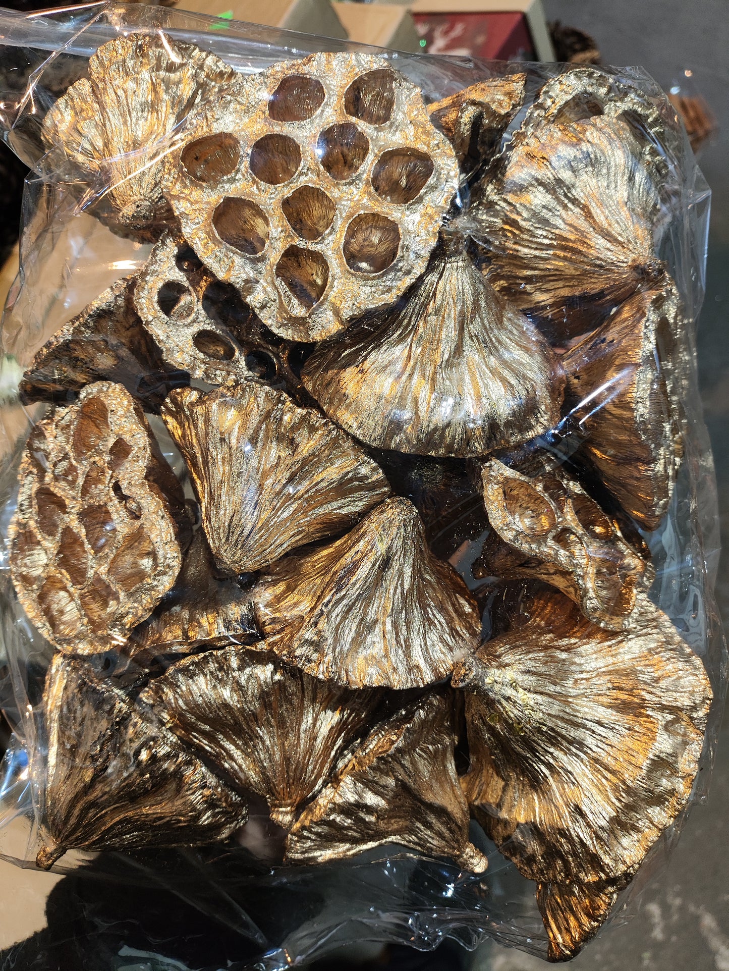 Dried Gold Lotus Heads