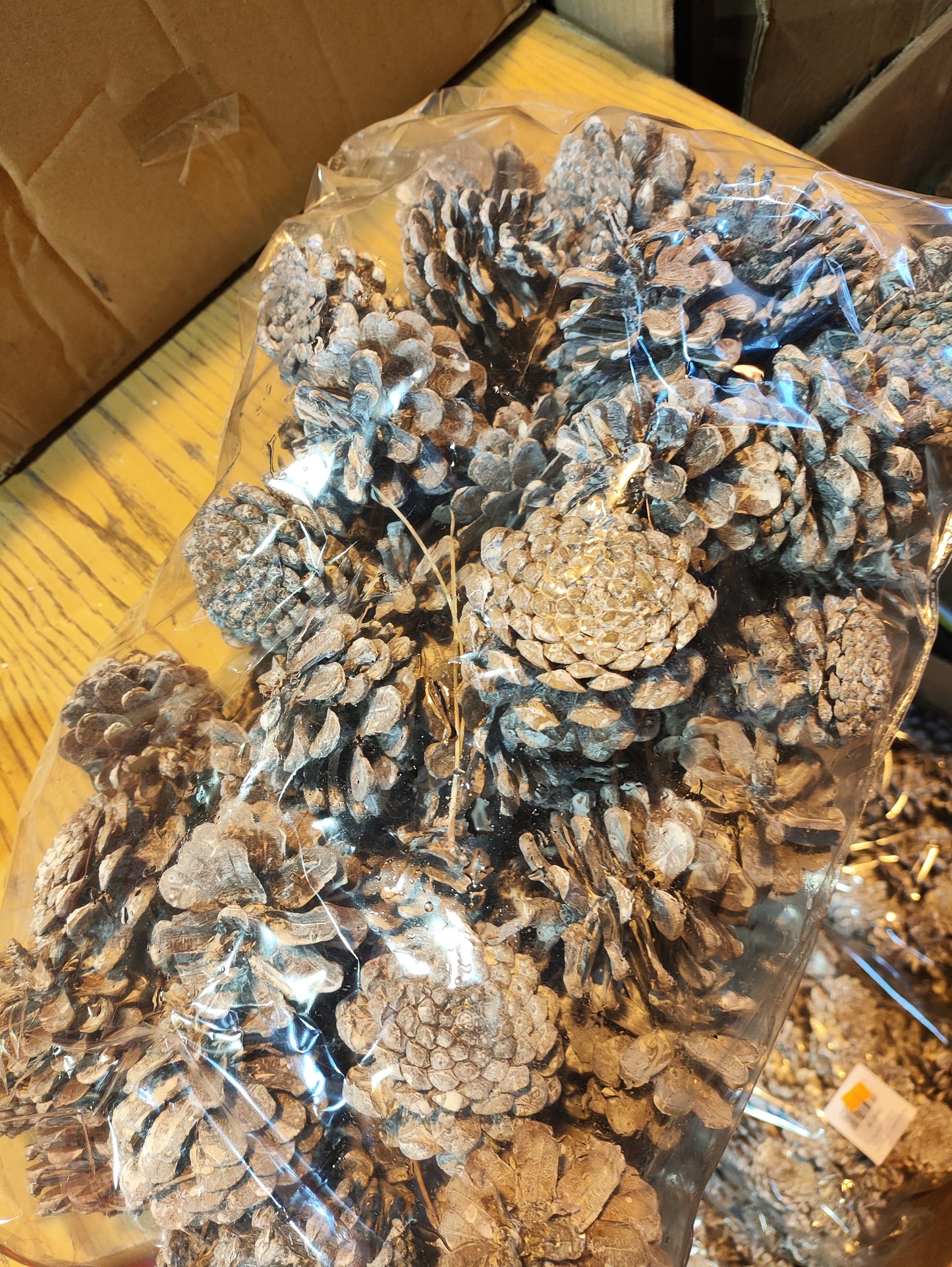 White Washed Pinecones (1KG)