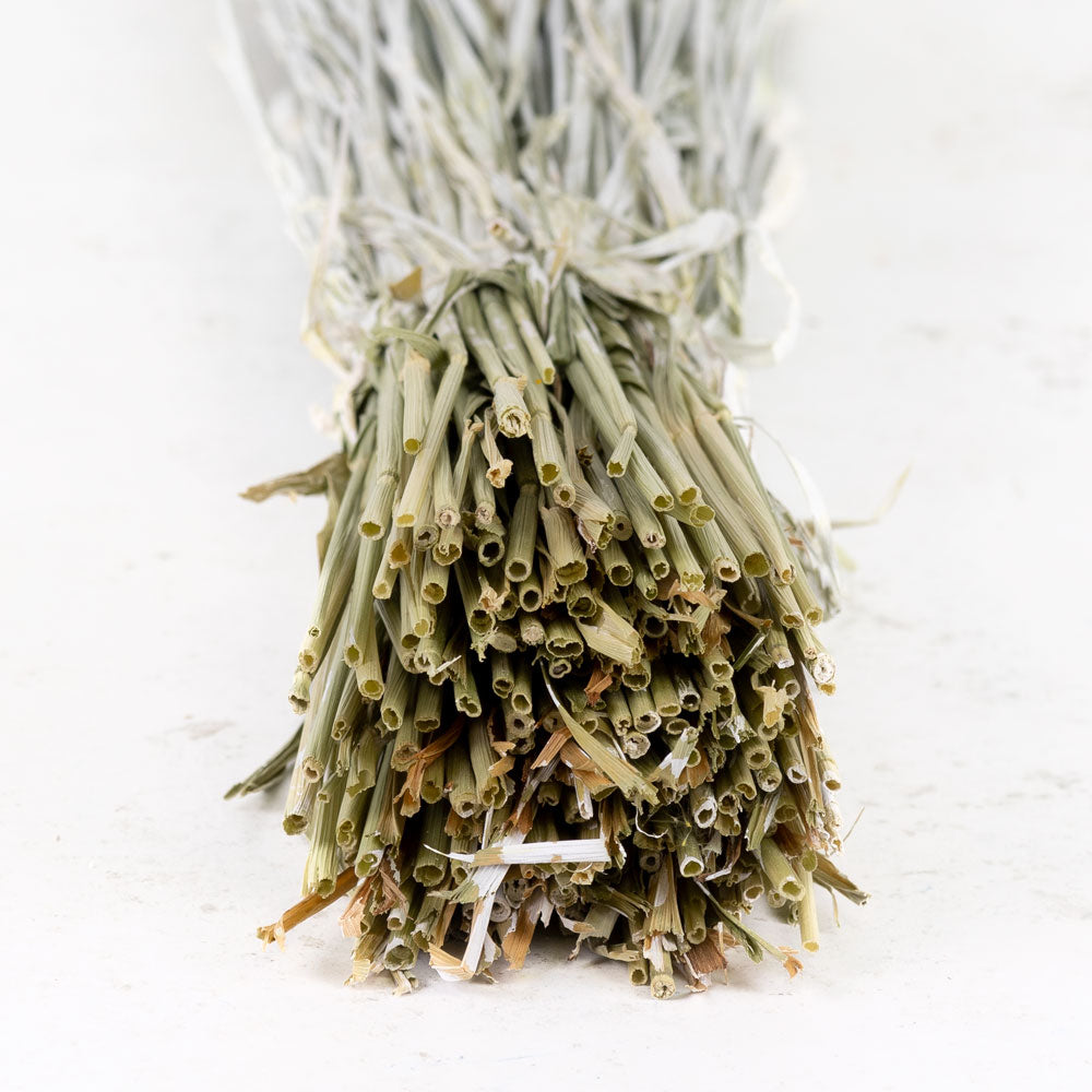 Dried Wheat White (100+ Stems)