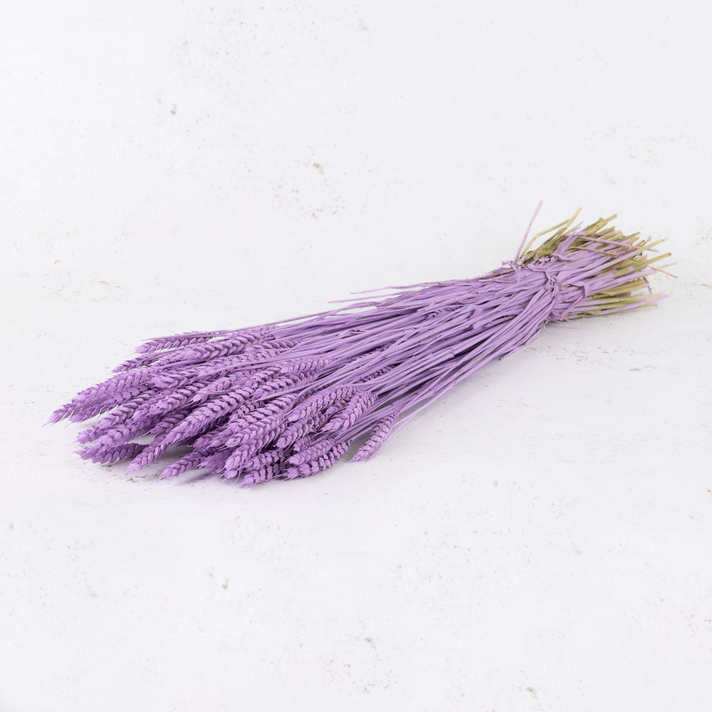 Dried Wheat Lilac (100+ Stems)