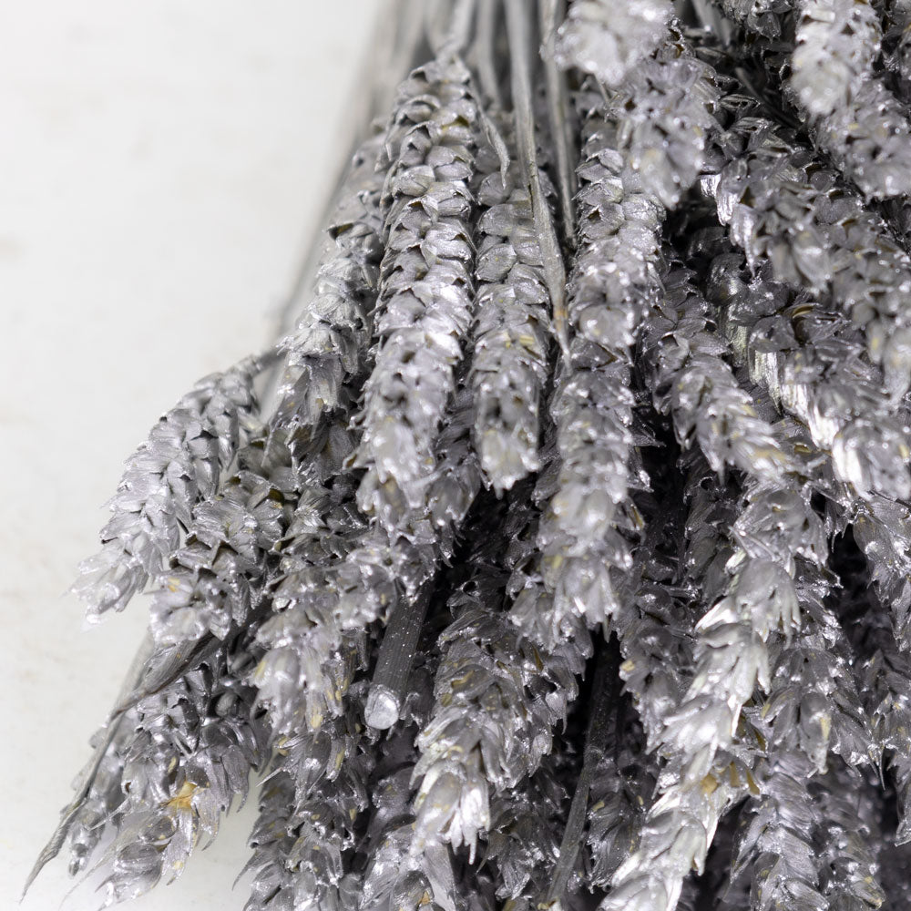 Dried Wheat Metallic Silver (100+ Stems)