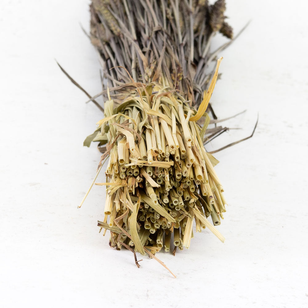 Dried Wheat Black (100+ Stems)