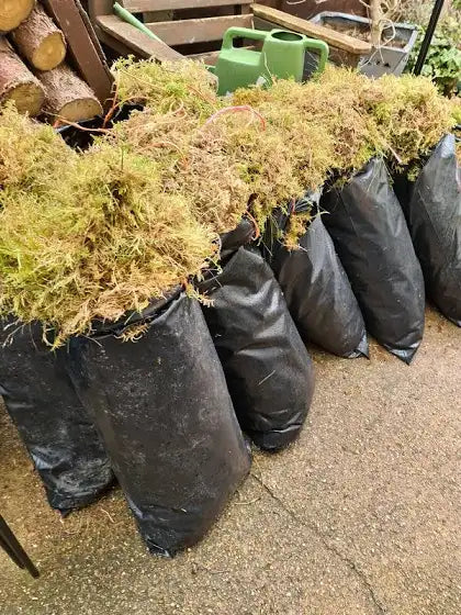 Bag Of Fresh Moss (8KG+) For Wreath Rings (Collection or Local Delivery Only)