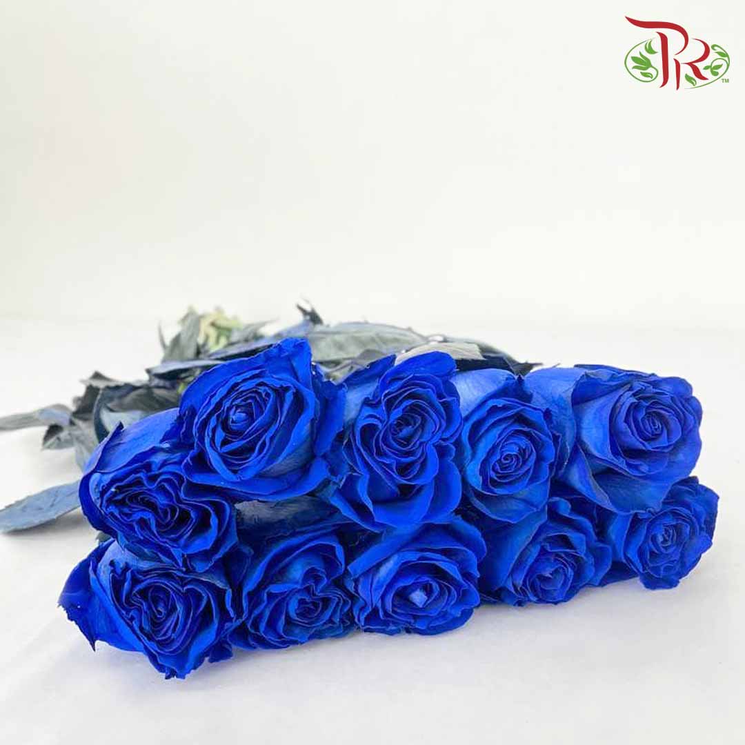 Rose Dyed Blue Mondial (×10) 60cm