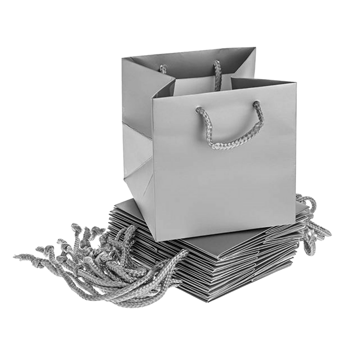Silver Handtied Bags