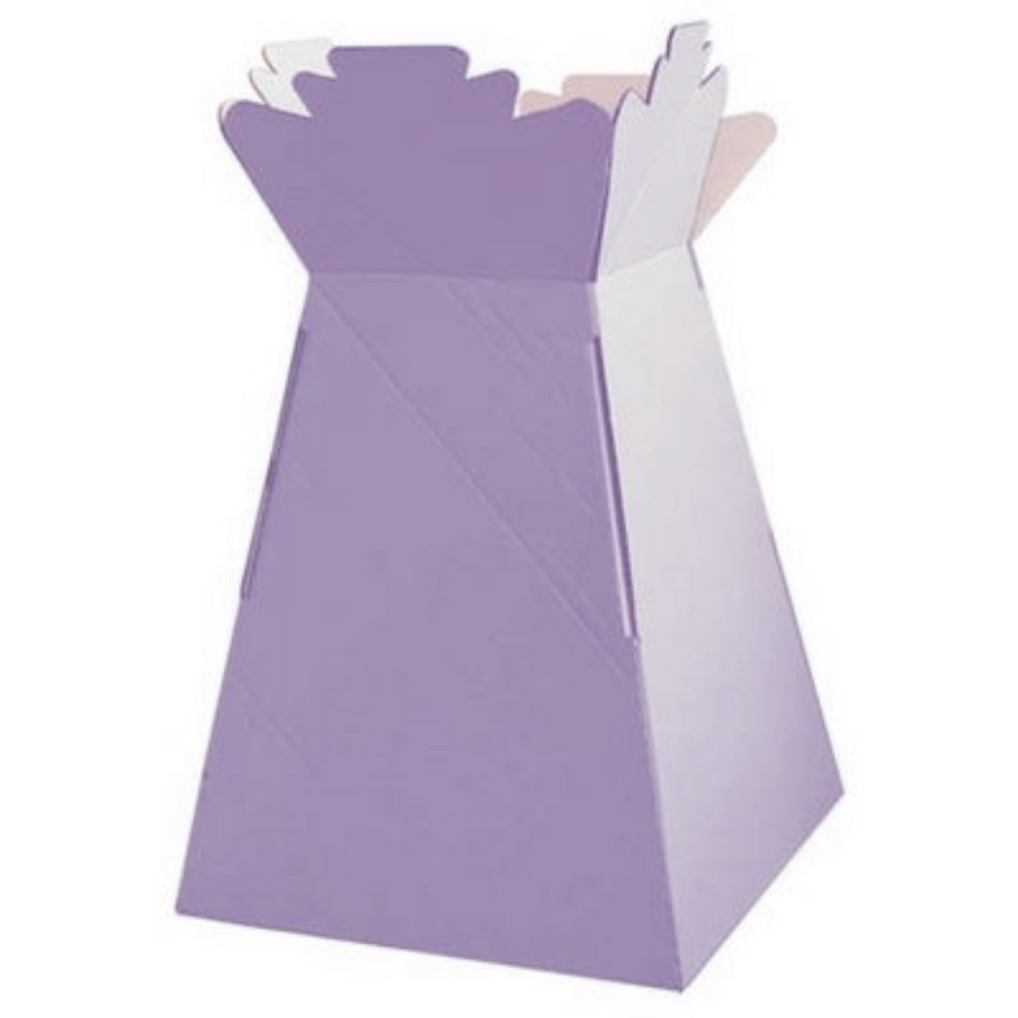 Single Large Aqua Box (Living Vases)