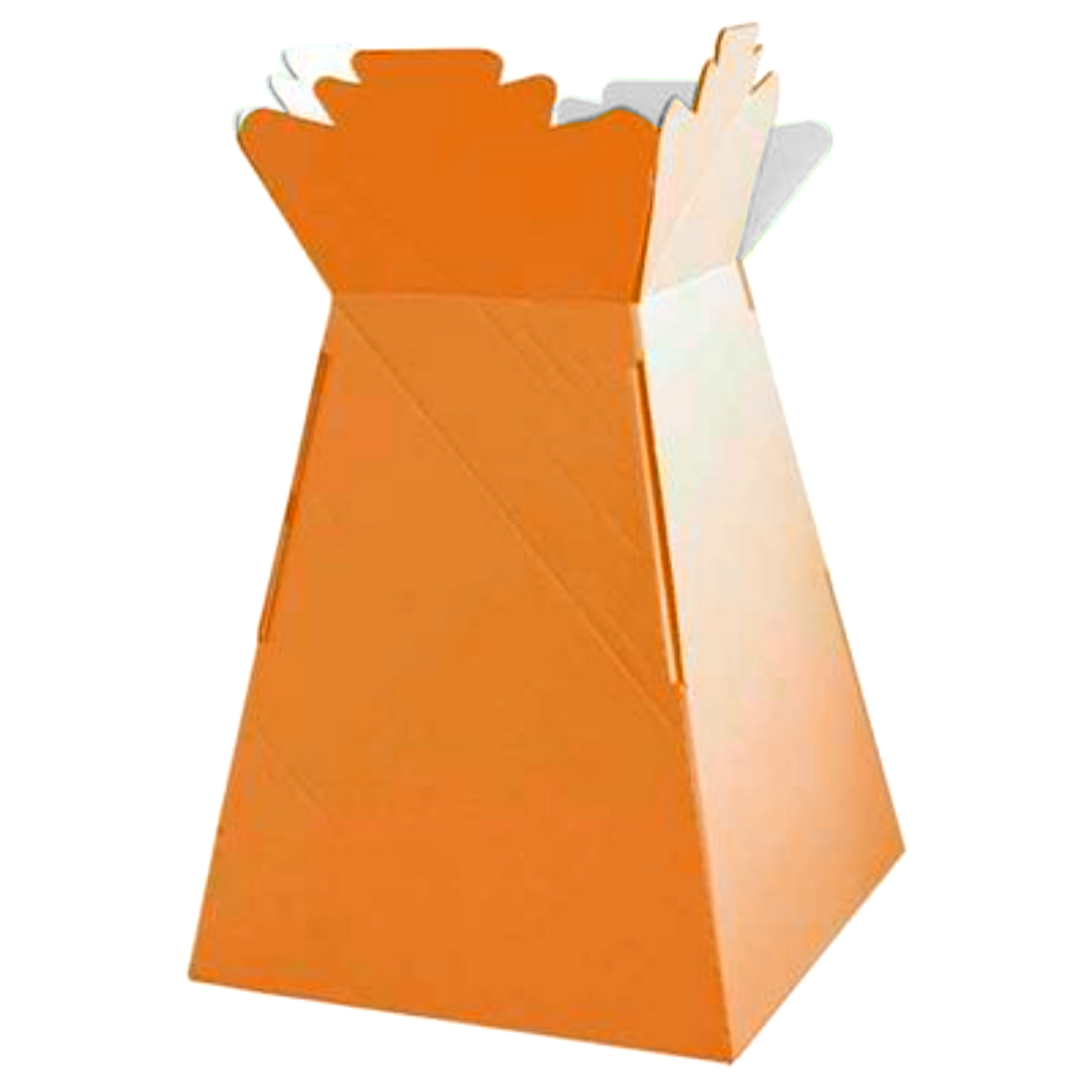 Single Large Aqua Box (Living Vases)