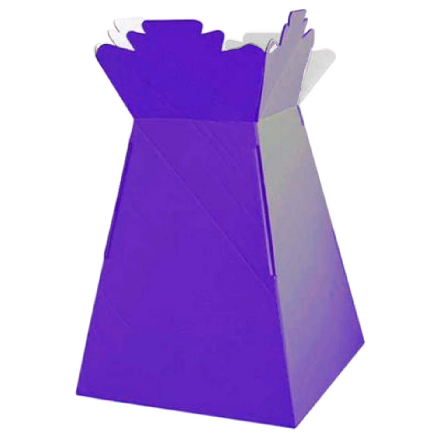 Single Large Aqua Box (Living Vases)