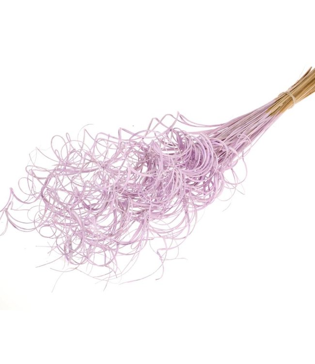 Lilac Curly Tingting Bunch