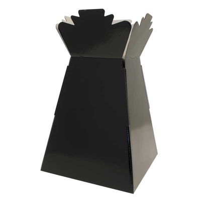 Single Large Aqua Box (Living Vases)