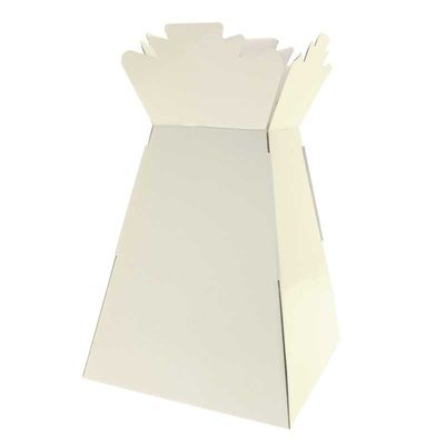 Single Large Aqua Box (Living Vases)