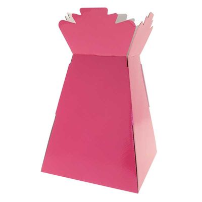 Single Large Aqua Box (Living Vases)
