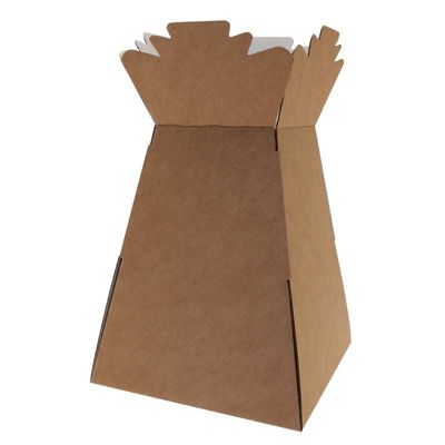 Single Large Aqua Box (Living Vases)