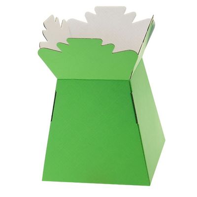 Aqua Boxes (Living Vase) (30 Per Pack)