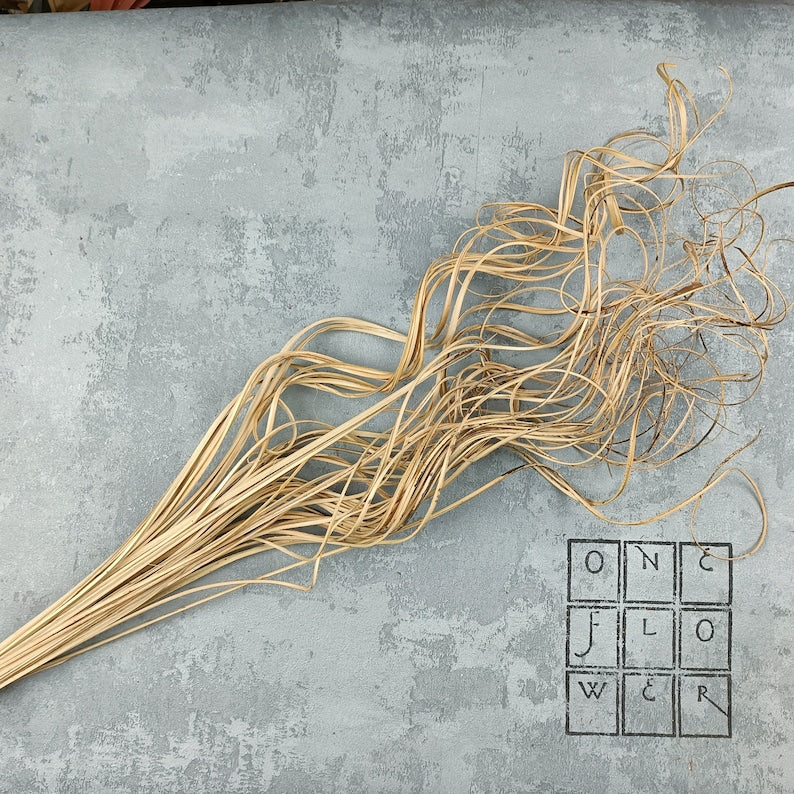 Natural Curly Tingting Bunch