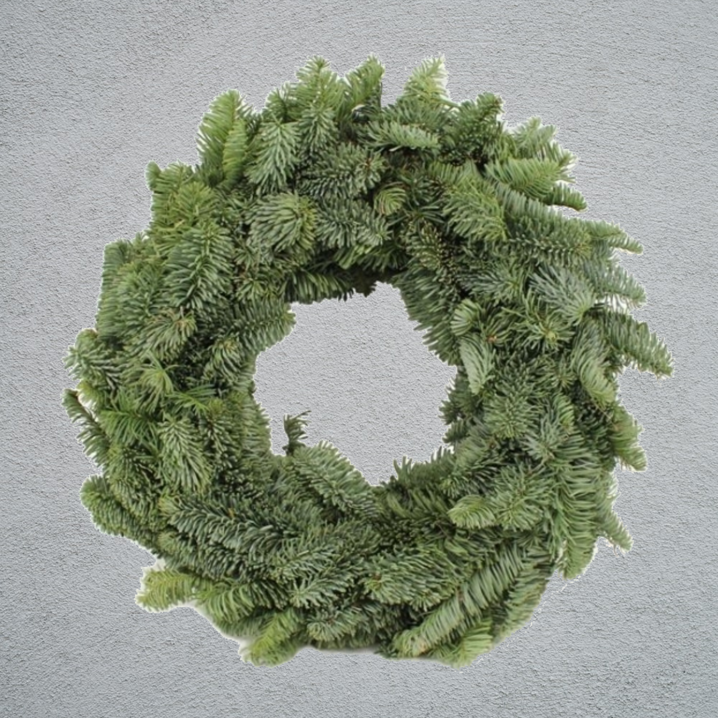 Fresh Spruce Half Wreath Ring (12 Inch Frame) (14 inch Outer Diameter)