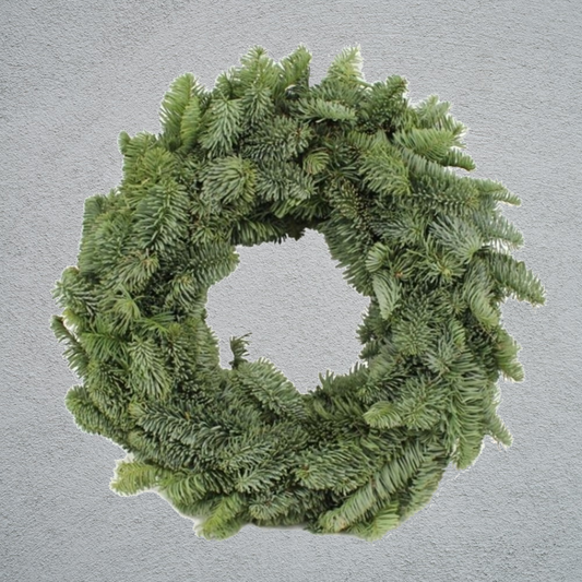Fresh Spruce Half Wreath Ring (12 Inch Frame) (14 inch Outer Diameter)