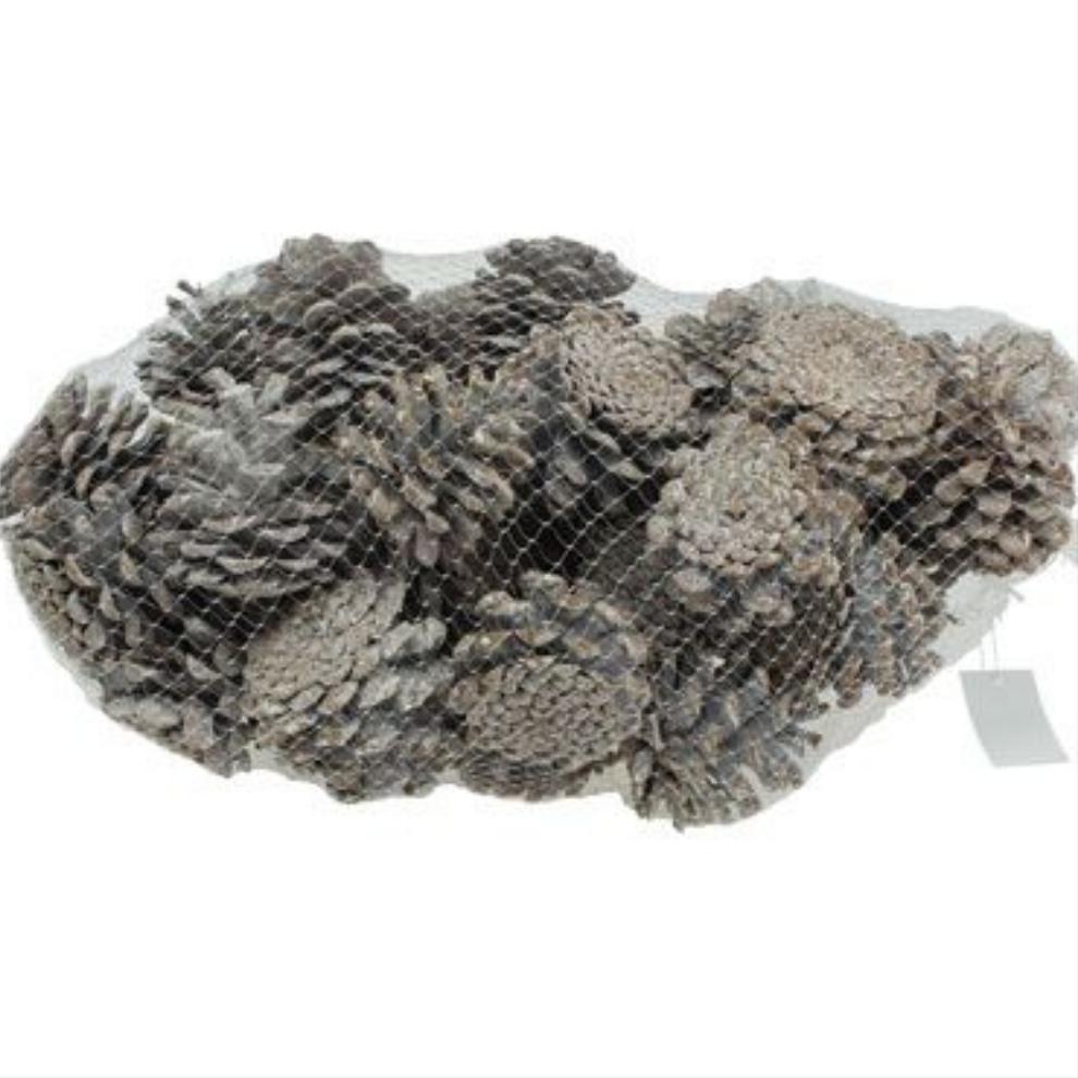 White Washed Pinecones (1KG)