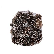 Frosted Pinecones (1KG)