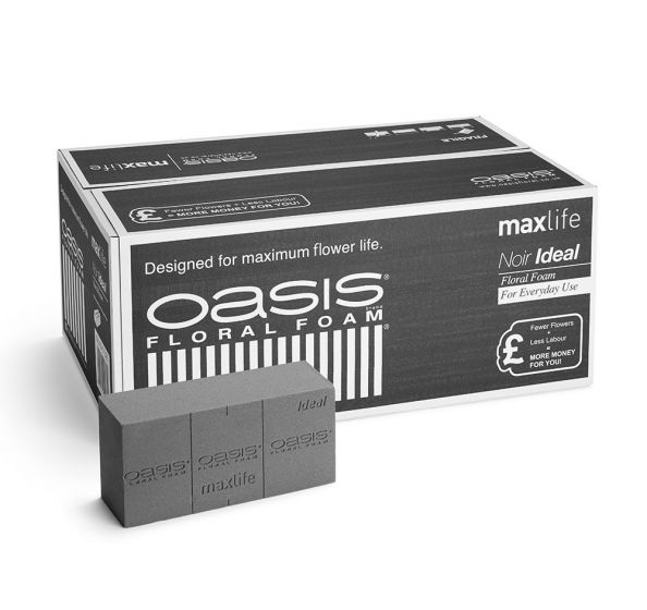 Oasis Floral Foam Box (×20 Bricks)