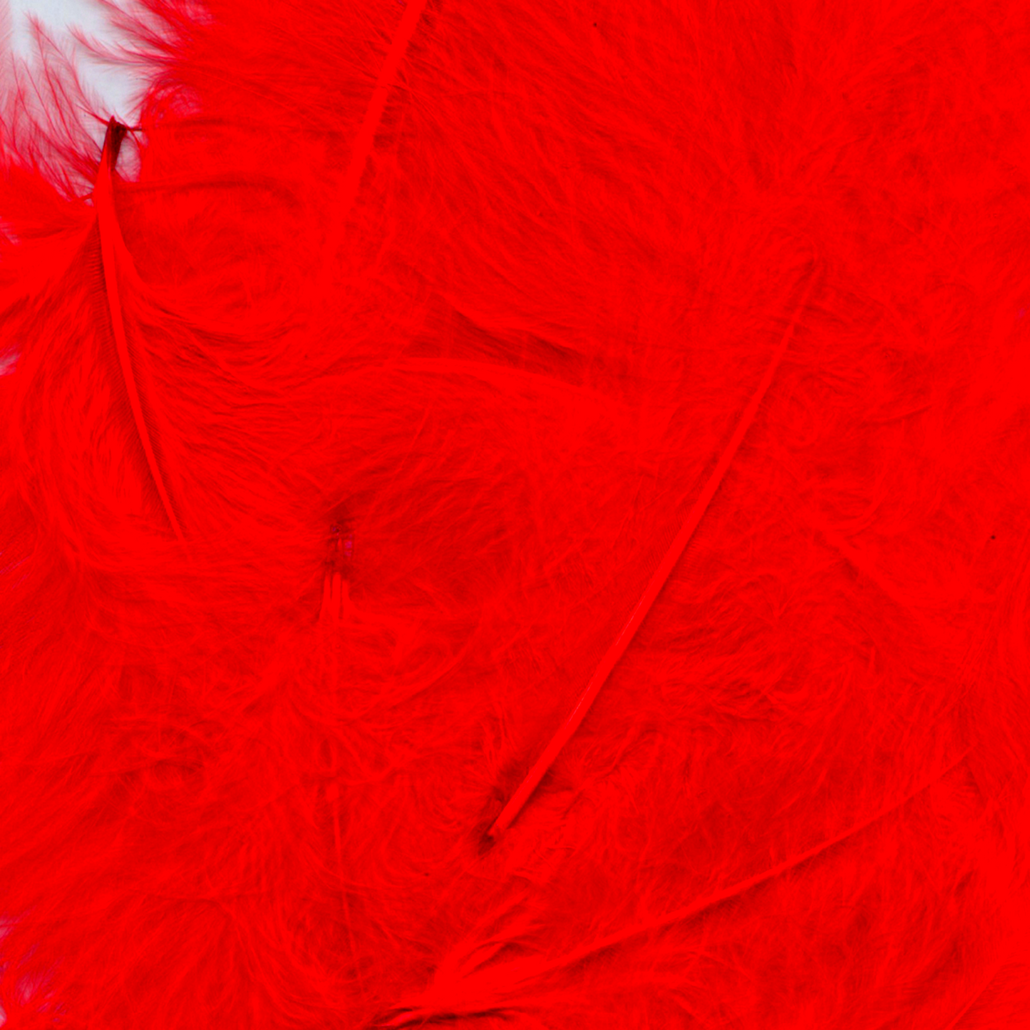 Large Red Craft Feathers (8g)