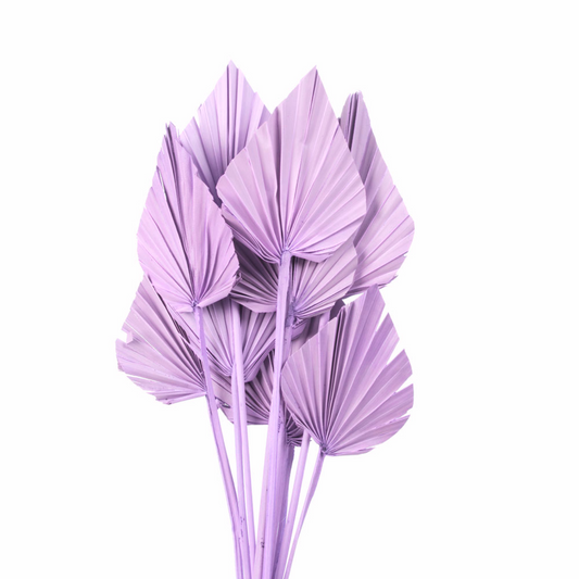 Lilac Dried Palm Spear (×5 Stems)