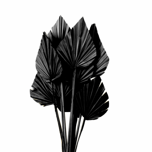 Black Dried Palm Spear (×5 Stems)