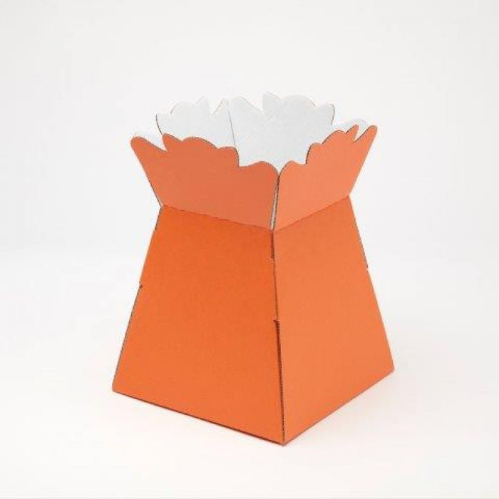 Aqua Boxes (Living Vase) (30 Per Pack)