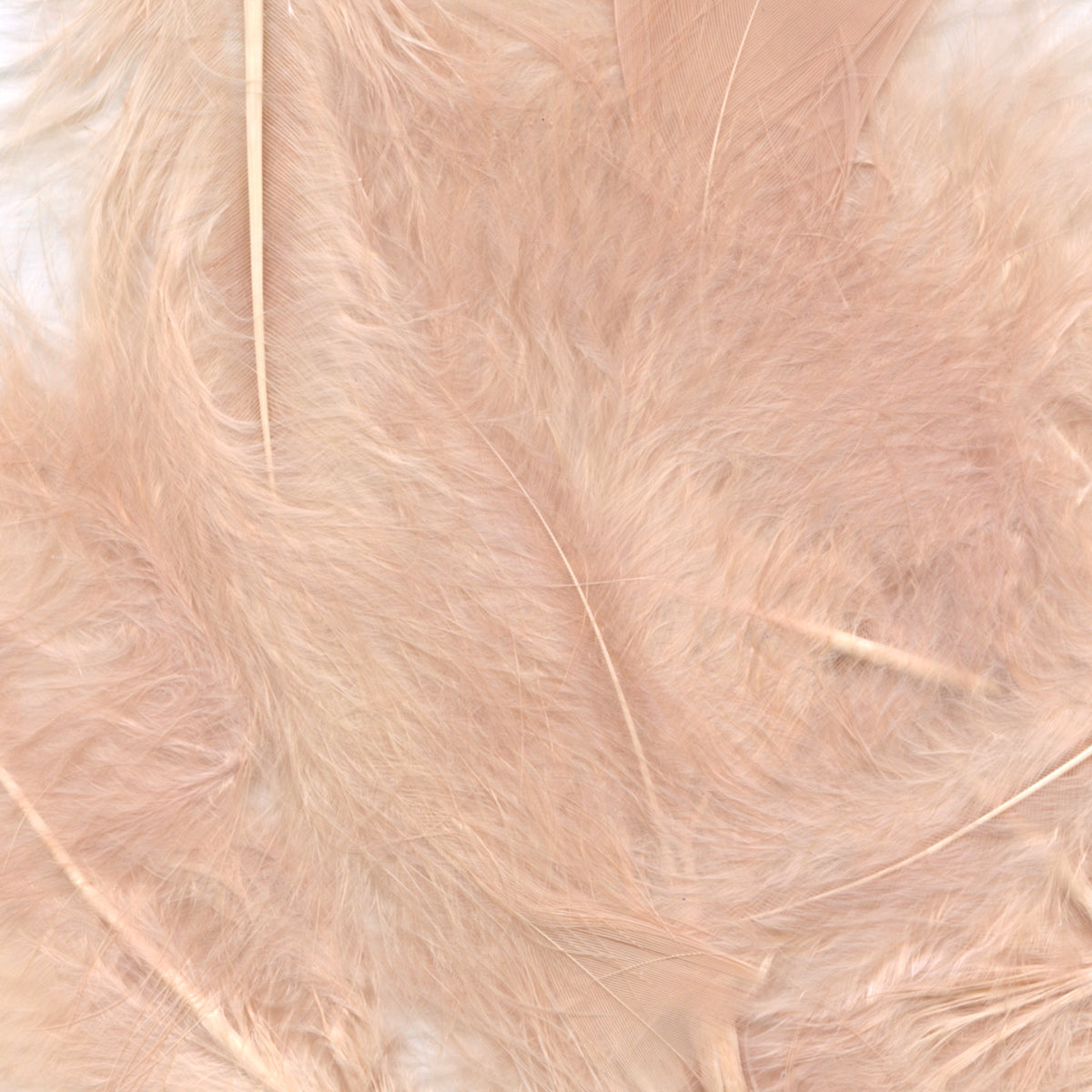 Large Rose Gold Craft Feathers (8g)