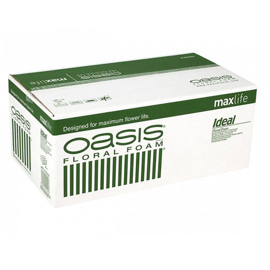 Oasis Floral Foam Box (×20 Bricks)