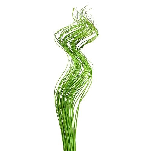 Lime Green Curly Tingting Bunch