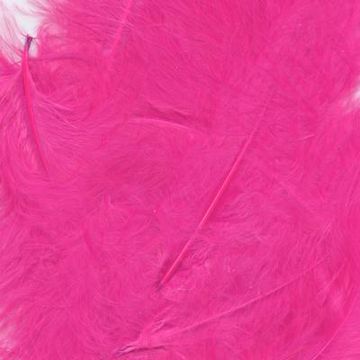 Large Fuchsia Craft Feathers (8g)