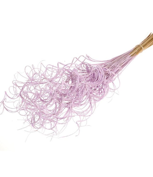 Lilac Curly Tingting Bunch