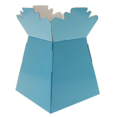 Aqua Boxes (Living Vase) (30 Per Pack)