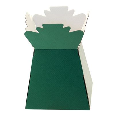 Aqua Boxes (Living Vase) (30 Per Pack)