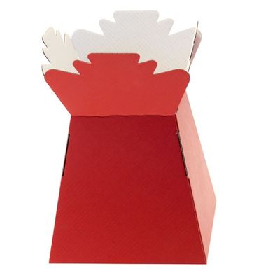 Aqua Boxes (Living Vase) (30 Per Pack)