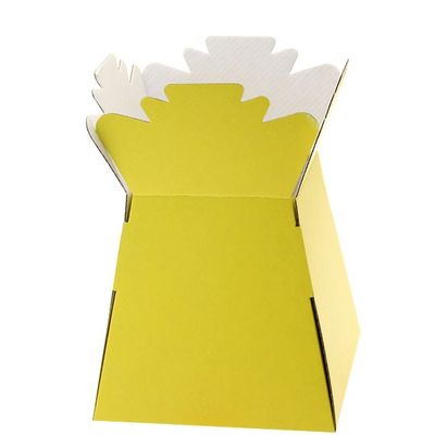 Aqua Boxes (Living Vase) (30 Per Pack)