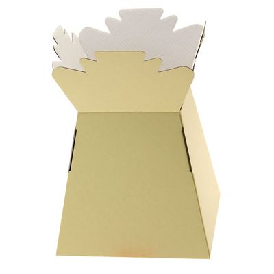 Aqua Boxes (Living Vase) (30 Per Pack)