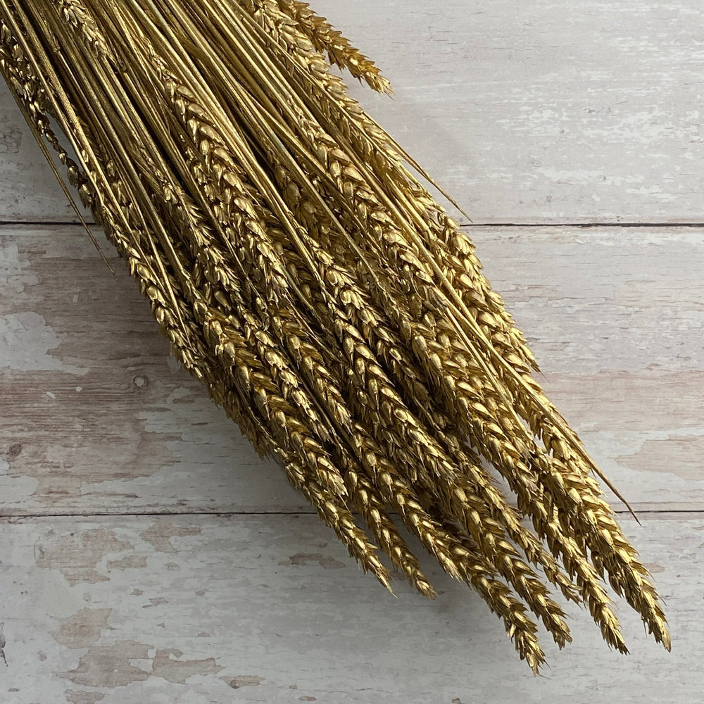 Sprayed Gold Dried Wheat (100+ Stems)