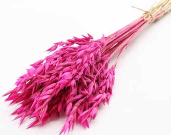 Dried Fuchsia Oats (100+)