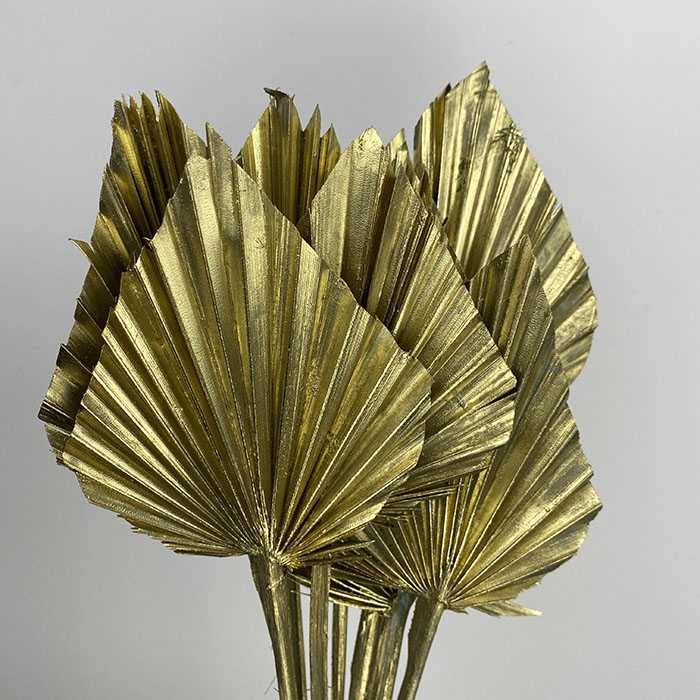 Gold Dried Palm Spear (×5 Stems)