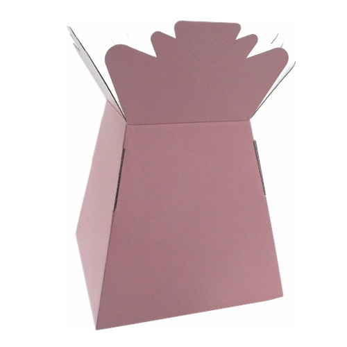Aqua Boxes (Living Vase) (30 Per Pack)